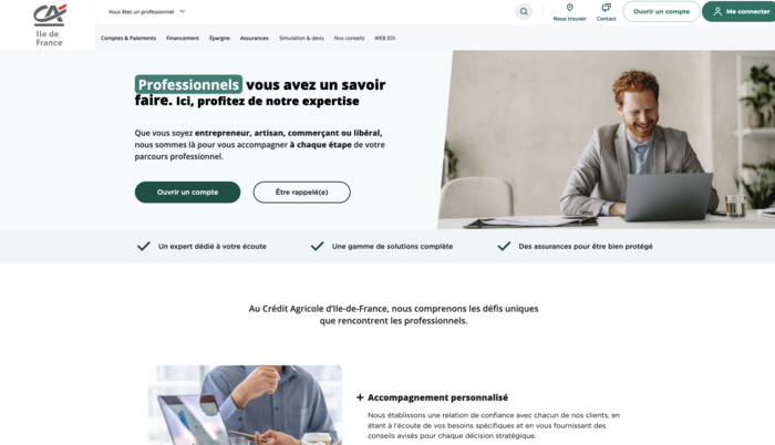 Page d'accueil des professionnels, réalisation par Timothée CORRADO